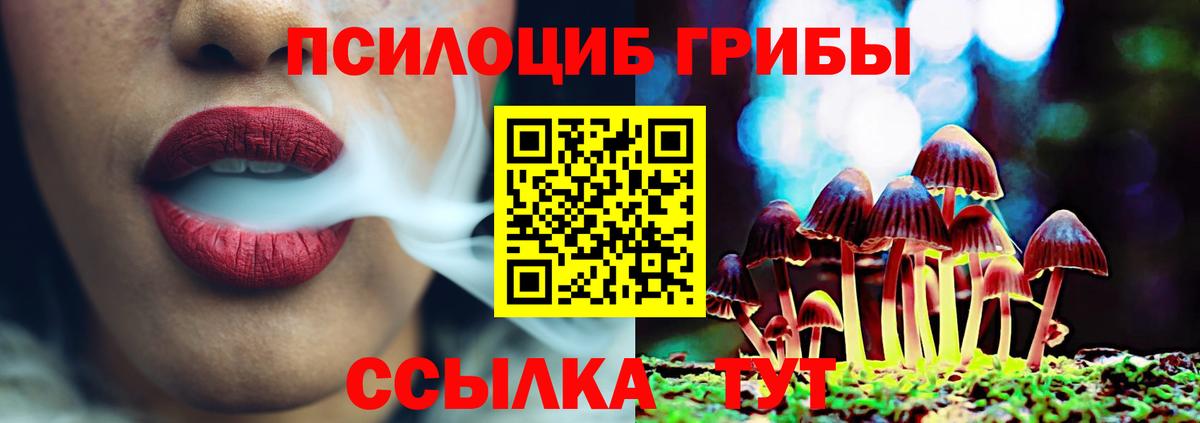 Галлюциногенные грибы ЛСД Новотроицк