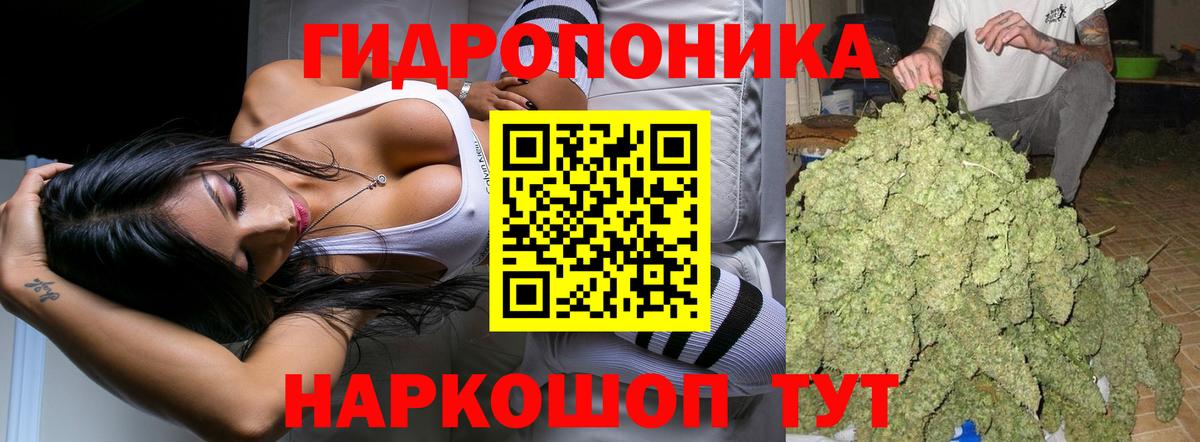 Каннабис конопля  Вход с VPN  Бошки марихуана планчик  Канабис Ganja  Бошки Шишки THC 21%  Новотроицк 